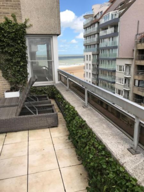 Residentie Zeebries, luxe en ruim appartement met zijzicht op zee